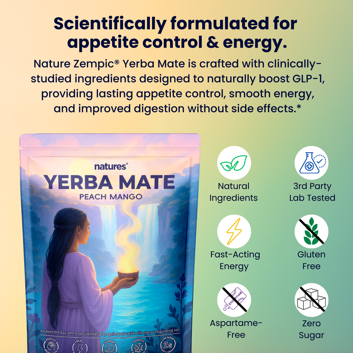 Natures® - Yerba Mate Tea Mix