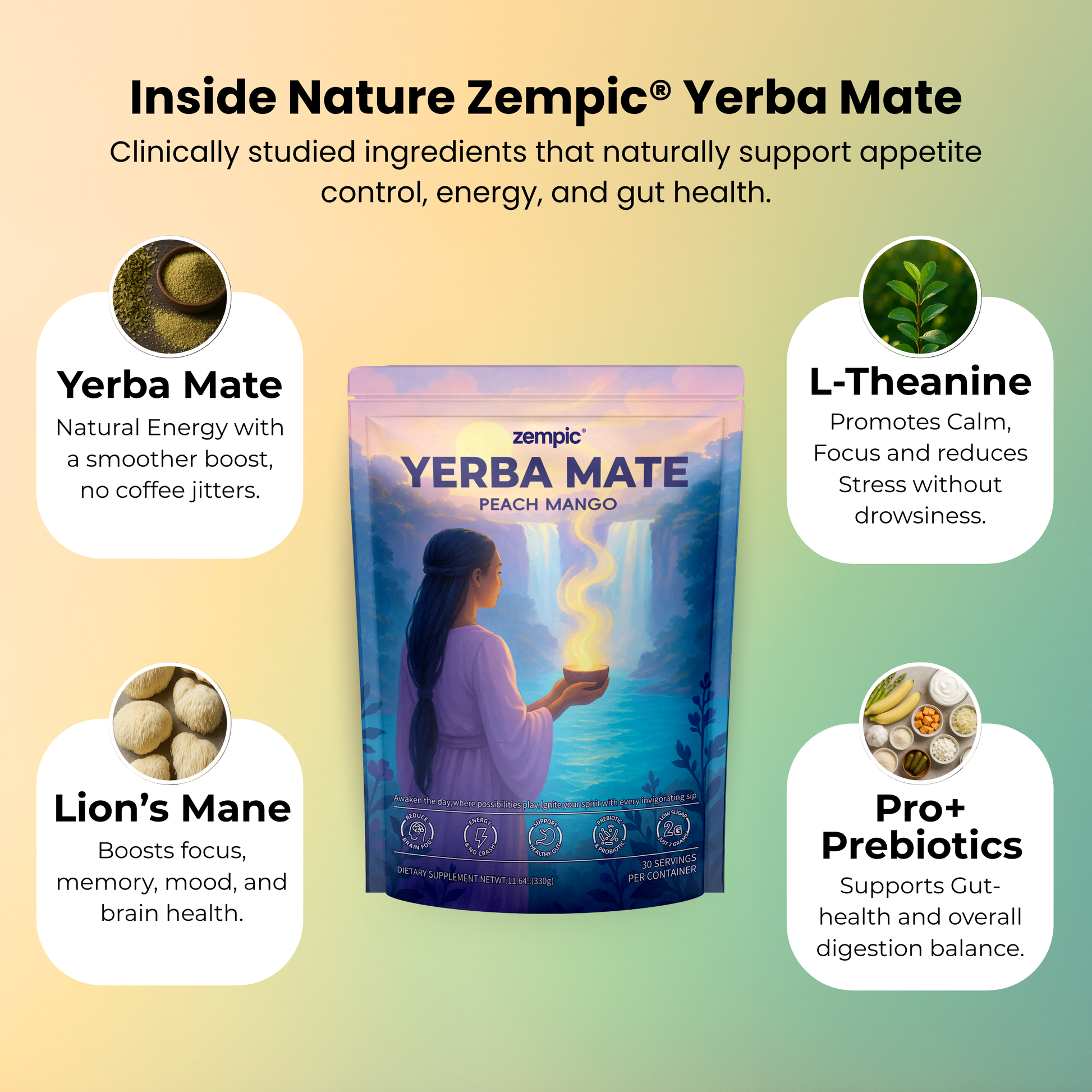 Natures® - Yerba Mate Tea Mix