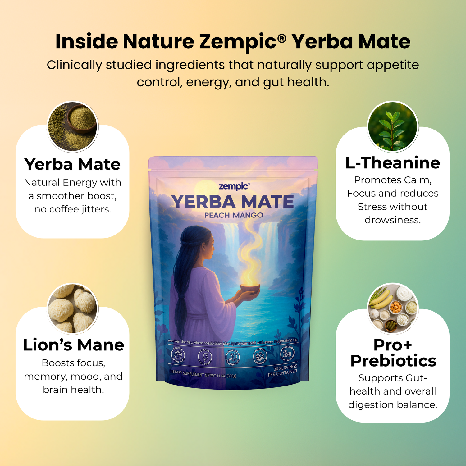 Zempic® - Yerba Mate Tea Mix Bundle