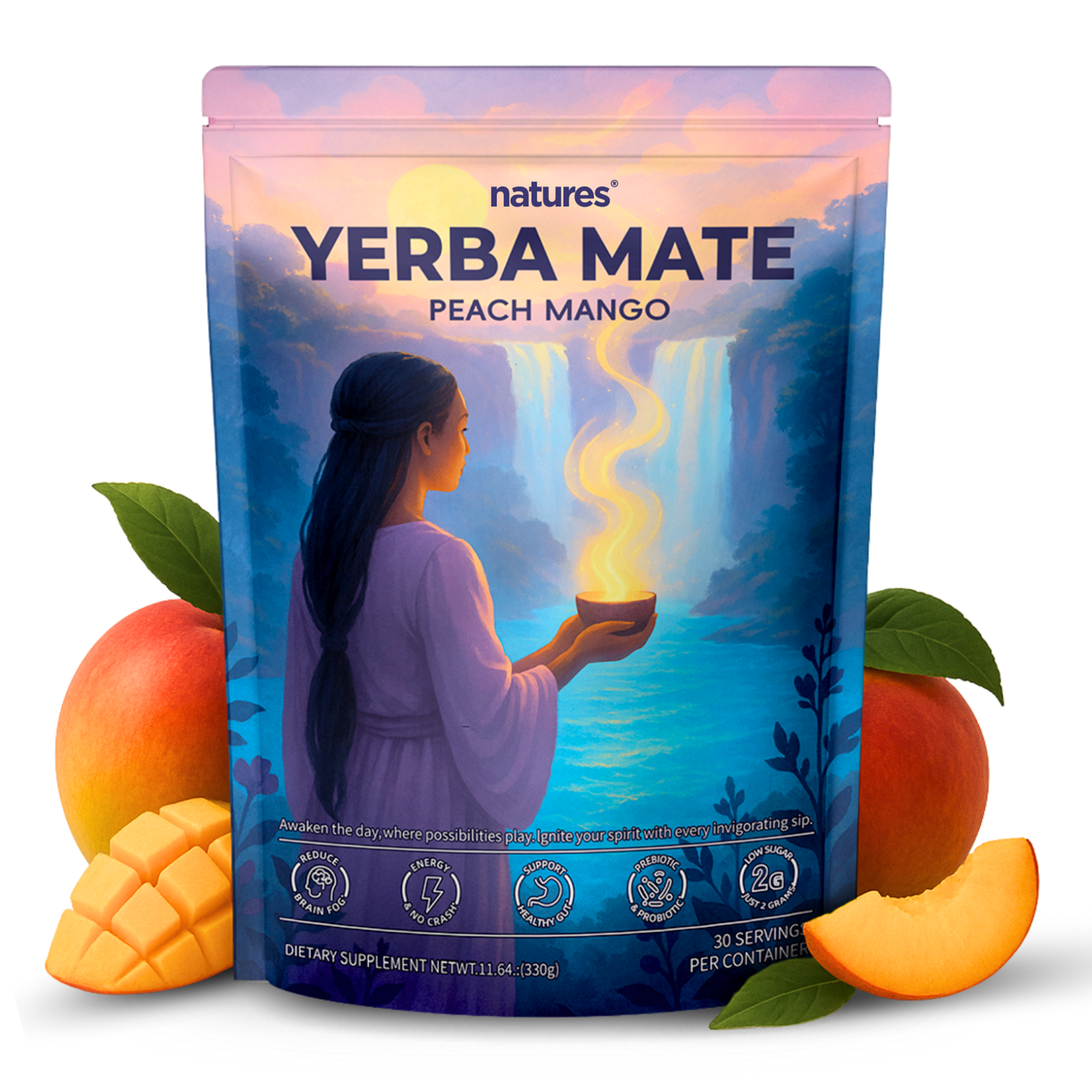 Natures® - Yerba Mate Tea Mix